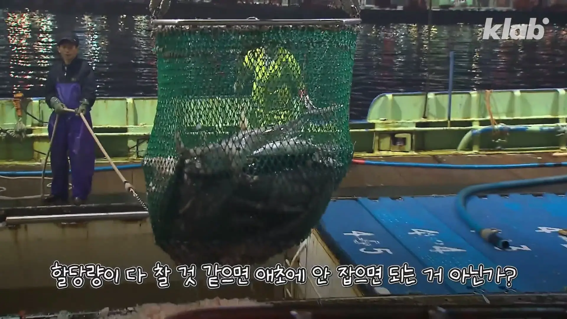 ‘제발 그만 좀 잡혀라’ 동해 어부들이 참치를 다시 버리는 이유|크랩_20260712_131141.877.jpg