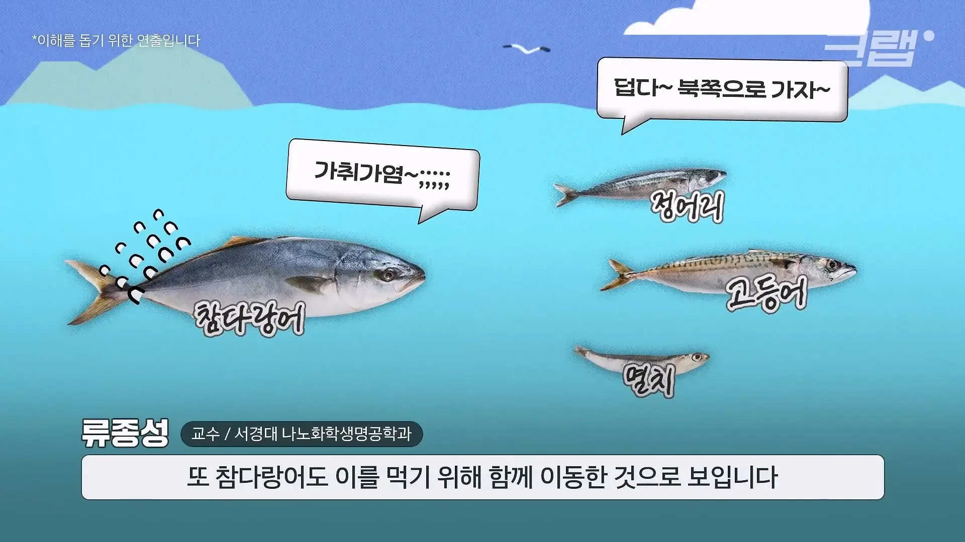 ‘제발 그만 좀 잡혀라’ 동해 어부들이 참치를 다시 버리는 이유|크랩_20260712_132036.822.jpg