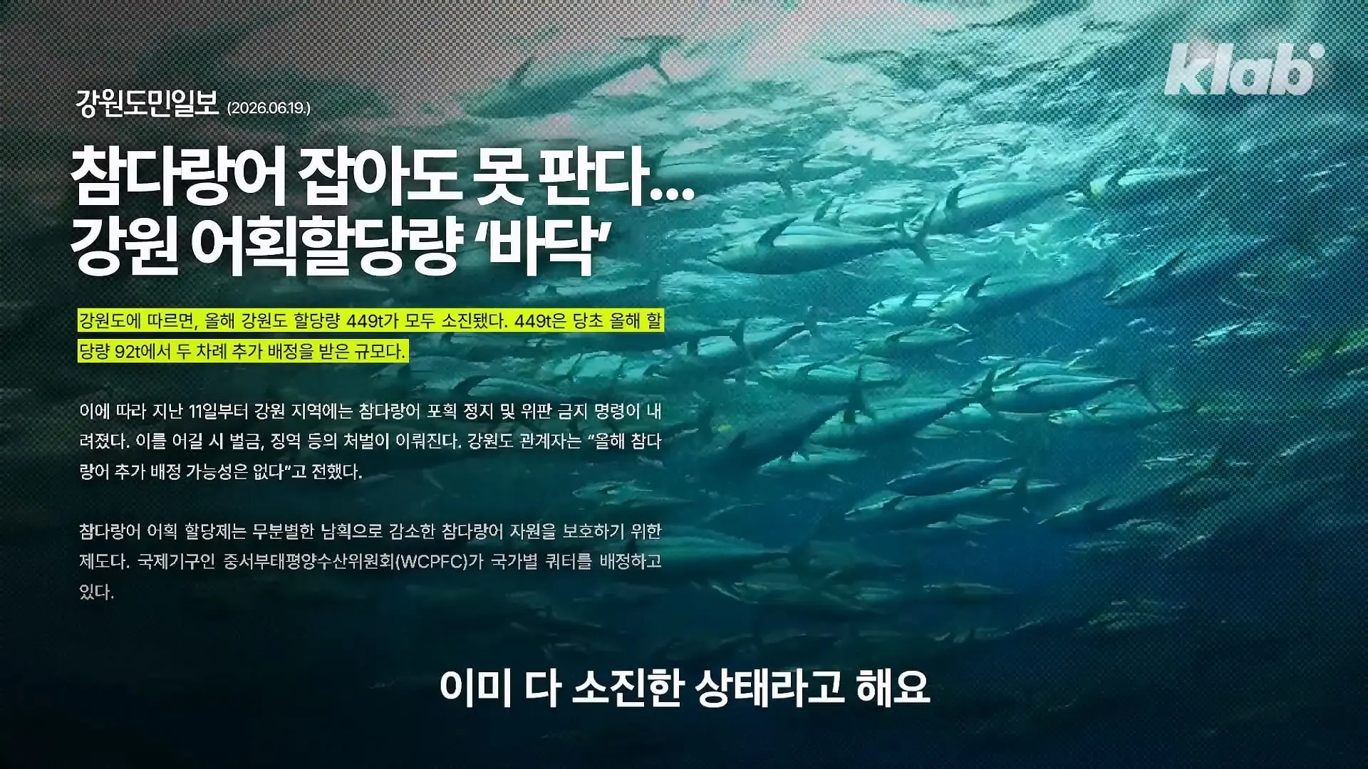 ‘제발 그만 좀 잡혀라’ 동해 어부들이 참치를 다시 버리는 이유|크랩_20260712_131119.244.jpg
