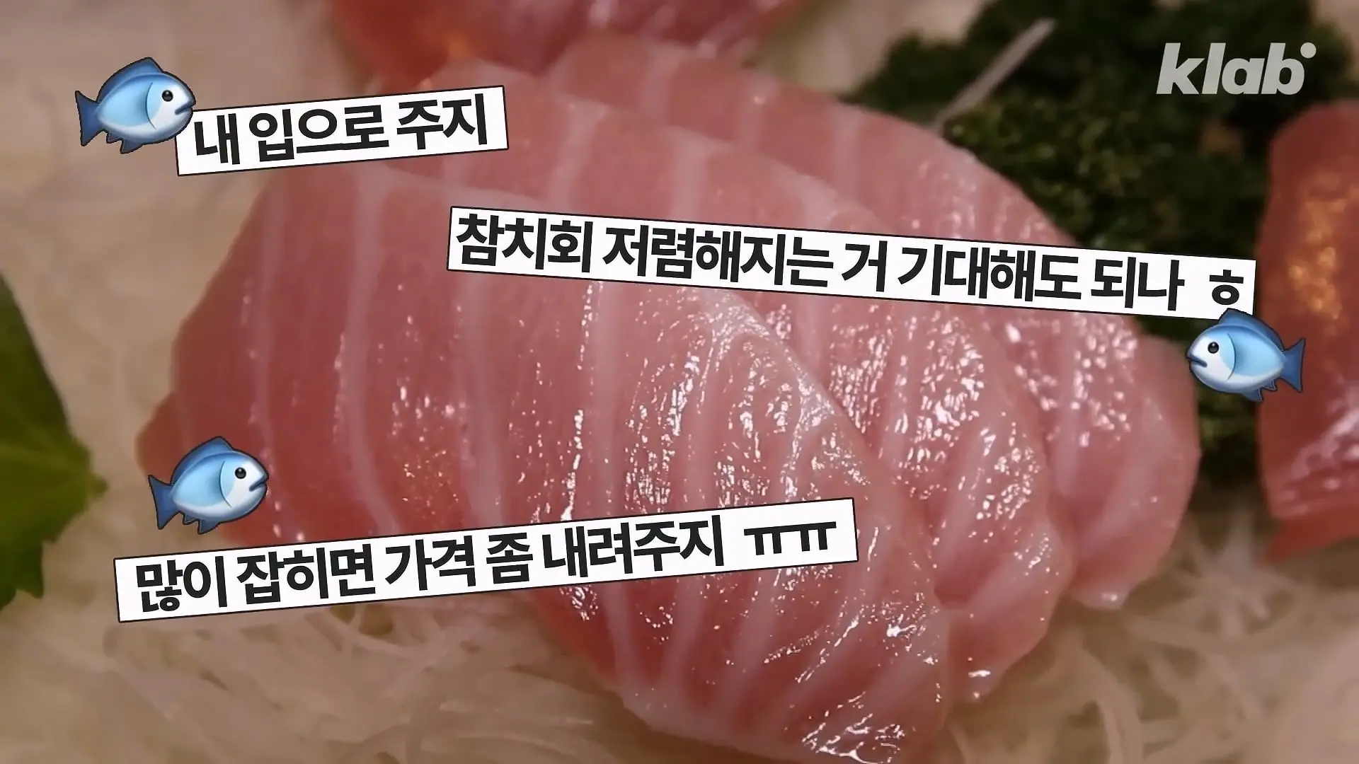 ‘제발 그만 좀 잡혀라’ 동해 어부들이 참치를 다시 버리는 이유|크랩_20260712_131317.453.jpg