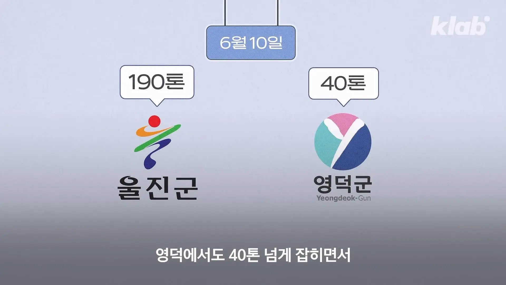 ‘제발 그만 좀 잡혀라’ 동해 어부들이 참치를 다시 버리는 이유|크랩_20260712_130445.971.jpg
