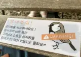 흔한 감자빵집 경고문