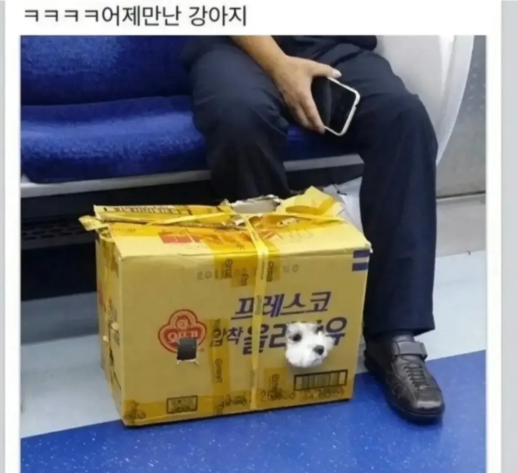 Screenshot_20260714_120246_YouTube.jpg