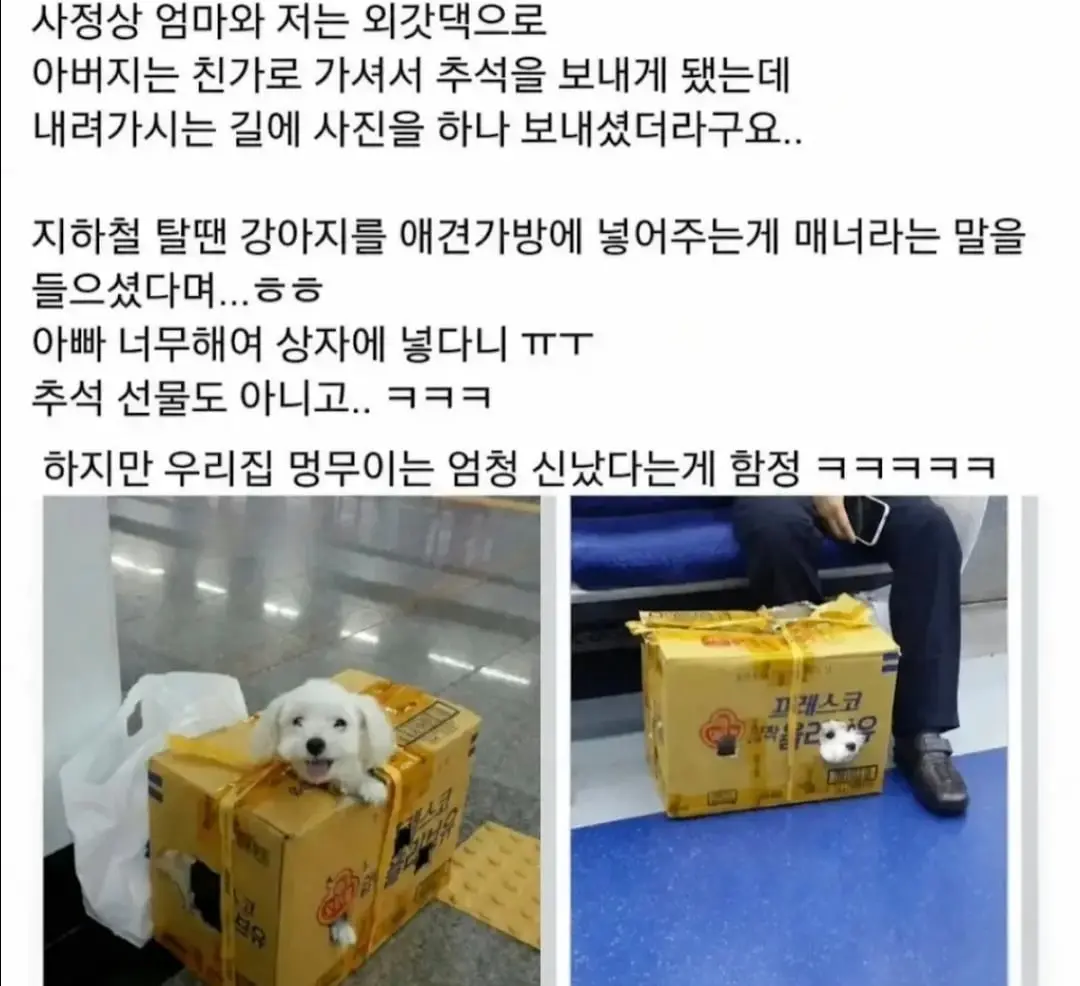 Screenshot_20260714_120230_YouTube.jpg