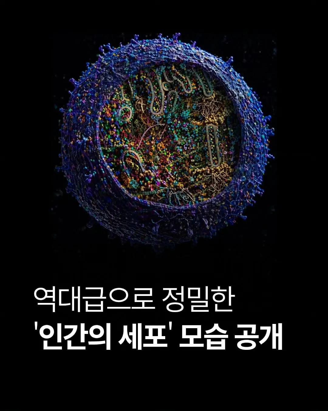 space_mystery.zip_1784019655_3940743054524776346_77112442949.heic.ren.jpg 역대 가장 정밀한 '인간 세포'의 모습 공개