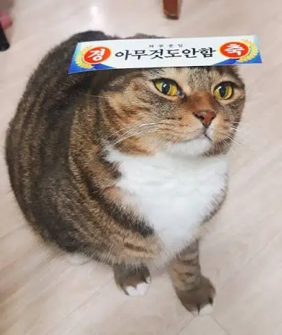 images.jpg