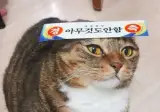 키움증권 상위 18% 우수 트레이더