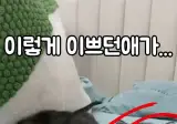 할머니 집에 고양이를 맡기면 안되는 이유