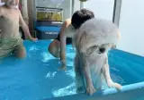 강한척하더니 벌써 가버리는거냐고