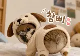 무시무시한 대한민국의 시골