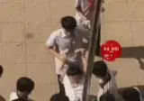 암컷타락 절망편.gif