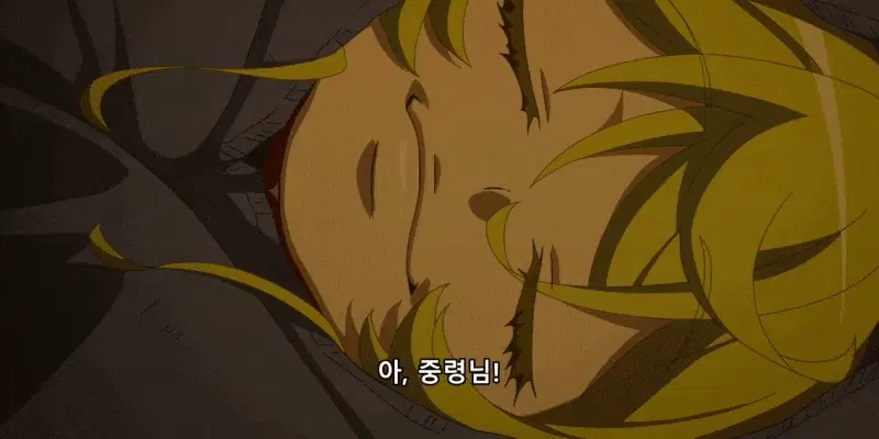 유녀전기 22.gif
