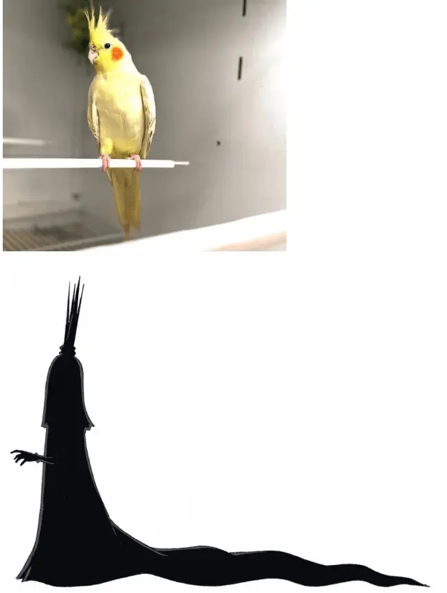 10090258984_486616_719561c331aed13bf66b8e8aa897dbc9.png