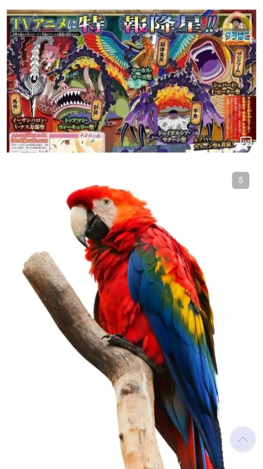 IMG_3884.png