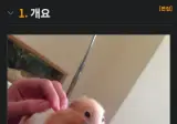 전지전능힐 나무위키에 실린 펠라치오 설명사진