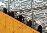 복장 제한이 없는 교토대 졸업식.jpg