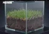 돈독 제대로 오른 FIFA 근황