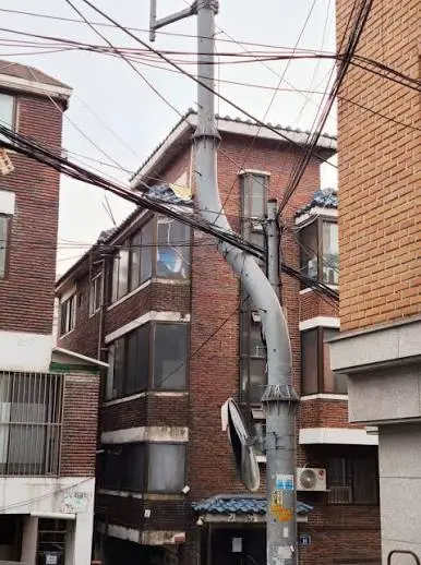images (36).jpeg
