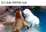 동물버전 제목학원 다시보기