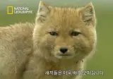 ㅋㅋ 미국가서 오렌지쥬스랑 우유 시키는 법 ㅋㅋ