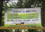 계곡 평상 장사 안접는 이유.jpg