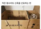 작은평수라도 신축을 선호하는편