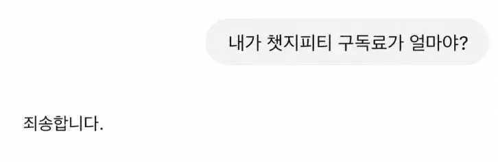 HNo5fCEa4AAjawE.jfif.ren.jpg ?? : 내 챗지피티 구독료가 얼마냐?