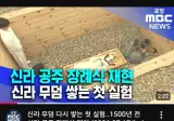 리센느 팬들의 맛탱이 가버린 알고리즘