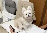 매번 그러면 안돼 라고 말은하지만