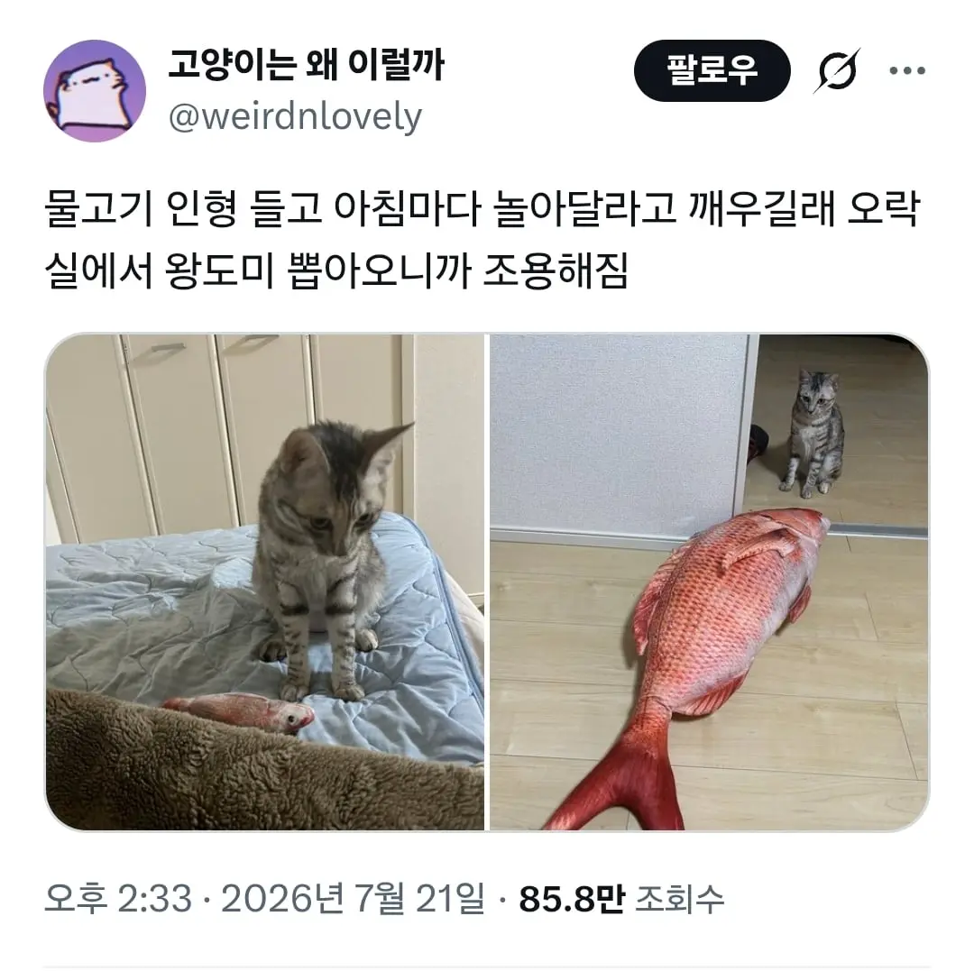 Screenshot_20260722_153637_Samsung Browser.jpg