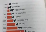 세계적으로 많이 먹는 고기