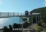 2008년 부산 기네스북 ㄷㄷ