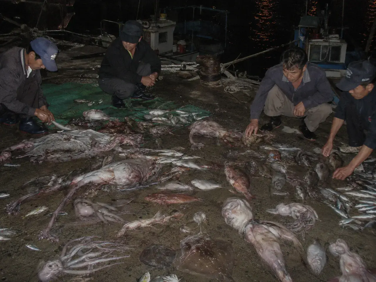 image.png gpt) 여러 이종족들