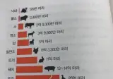 세계에서 육류로 가장 많이 소비되는 가축 순위.jpg