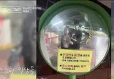 이번 하트시그널 현실커플 된 커플
