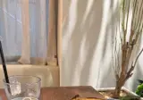 루벤 샌드위치