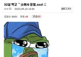 공감) 32살 먹고 ㅈ소에서 펑펑 운 썰.jpf