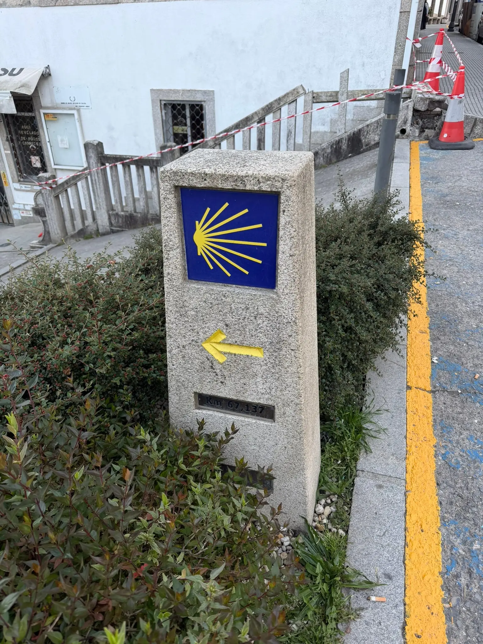 IMG_9087.JPEG