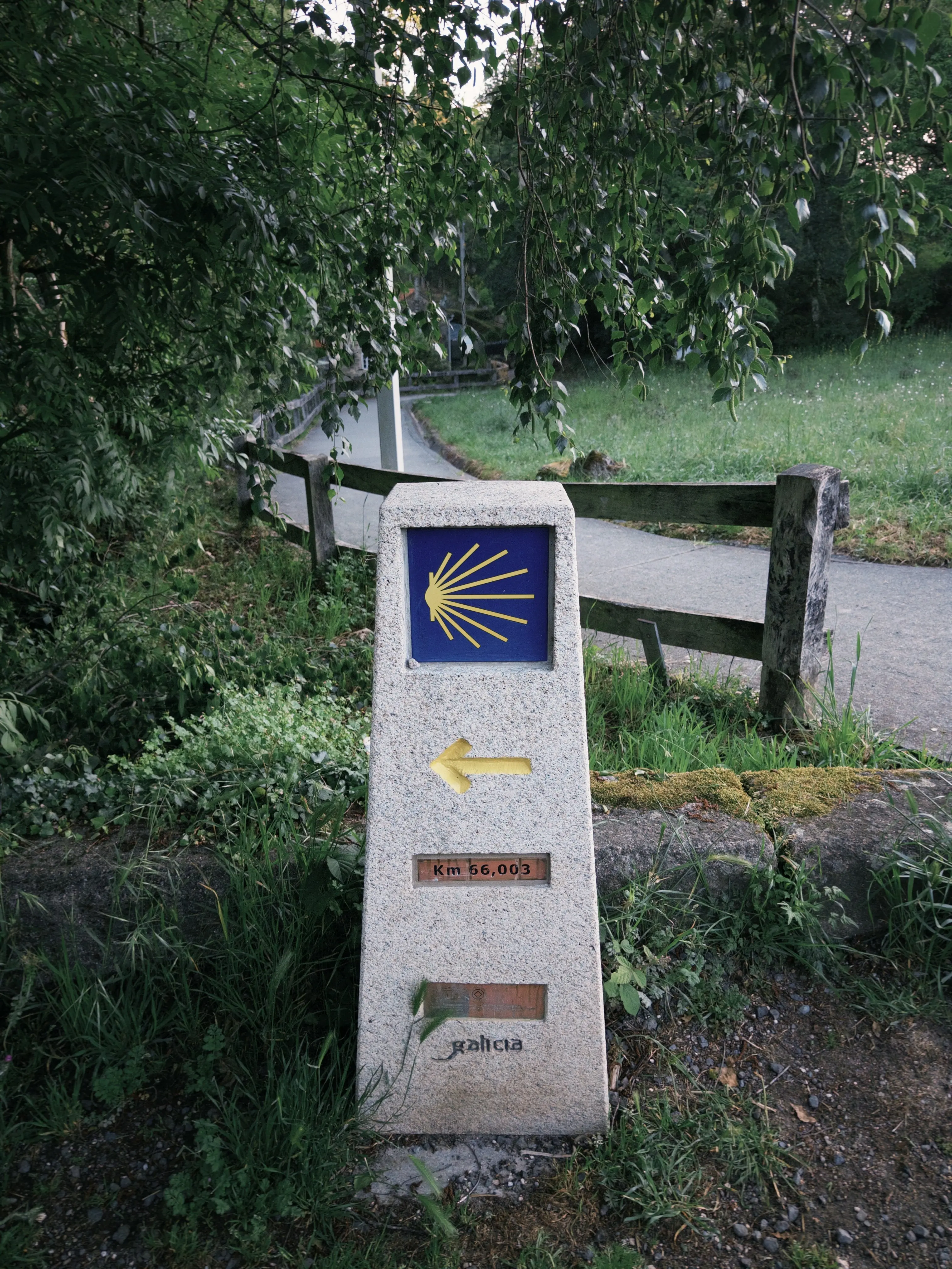 IMG_9096.JPG