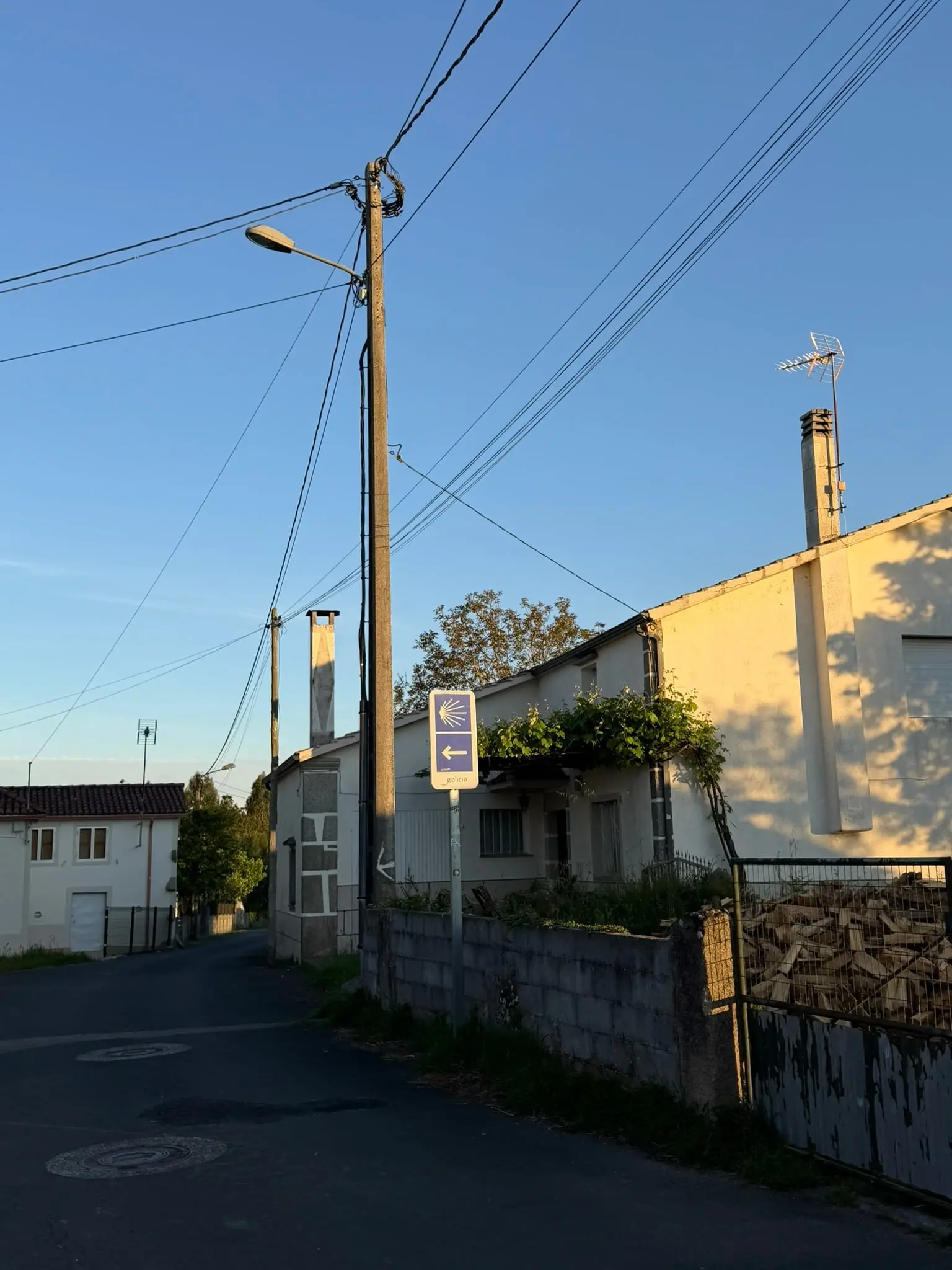 IMG_9090.JPEG
