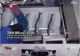 노르웨이 순살 고등어의 비밀