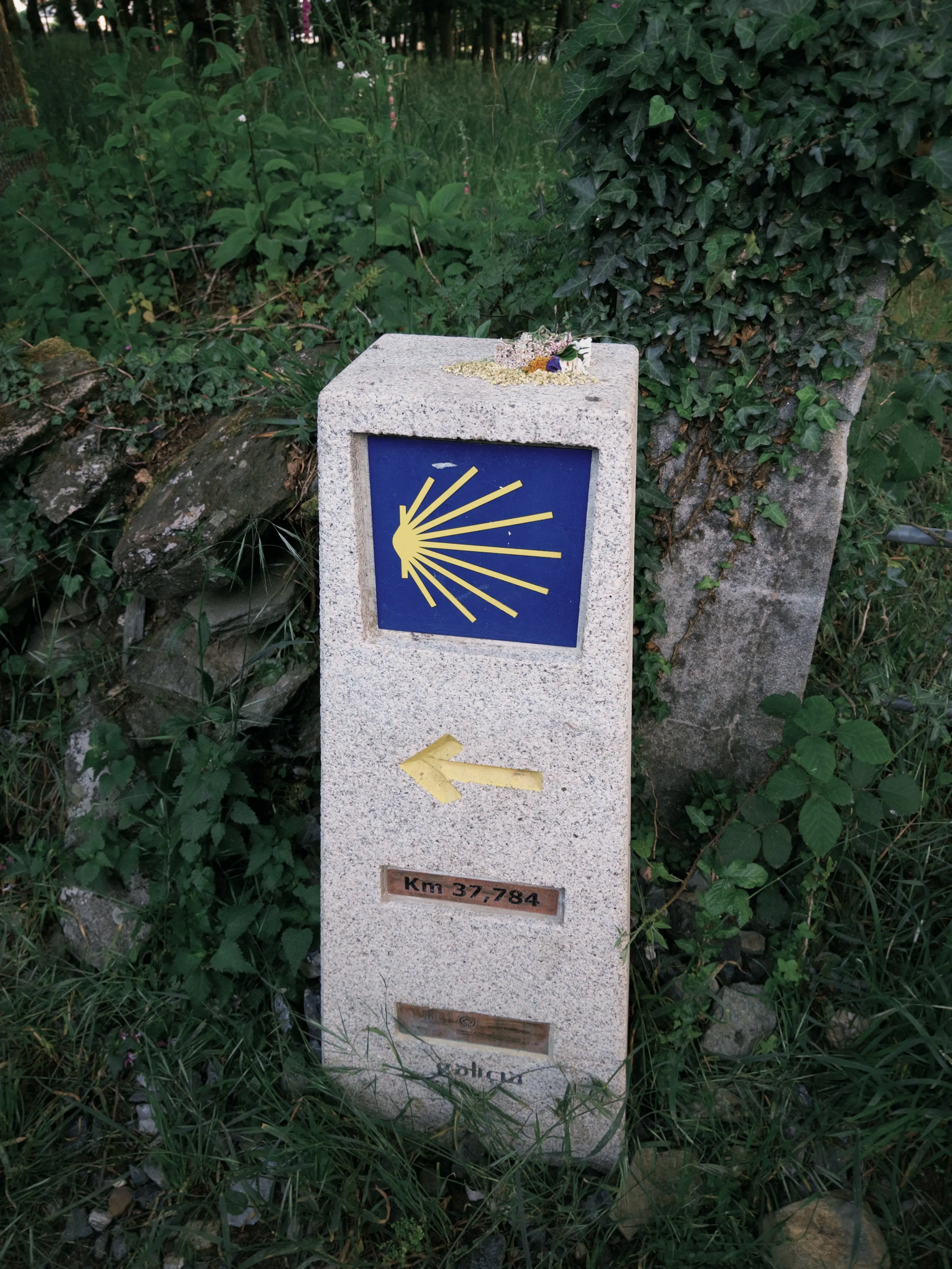 IMG_9325.JPG