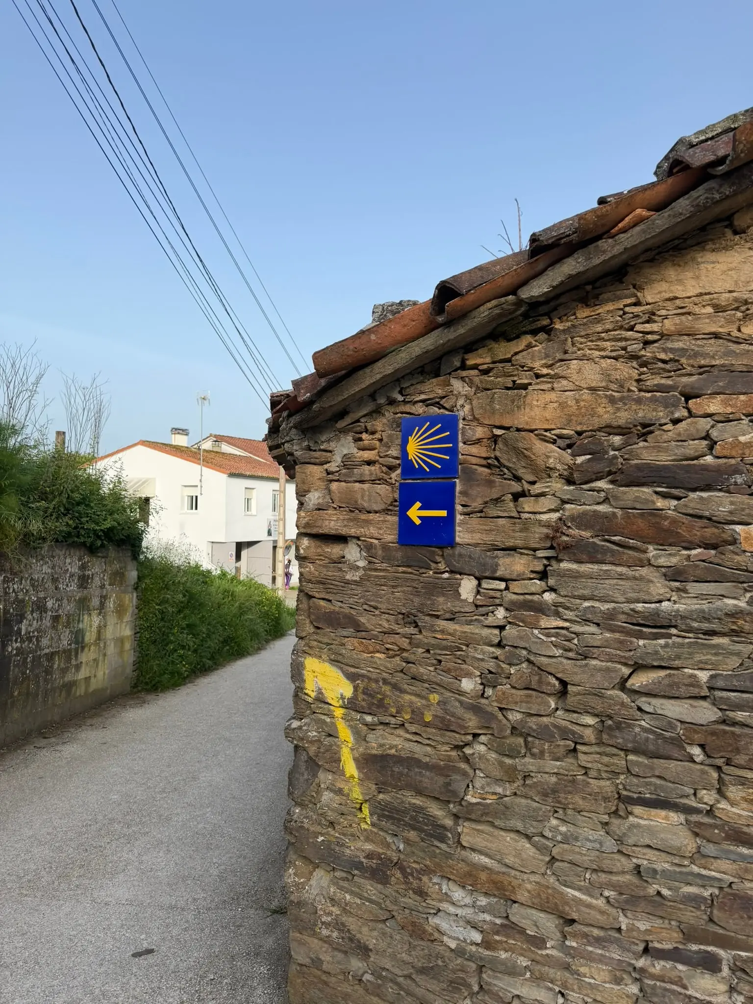 IMG_9317.JPEG