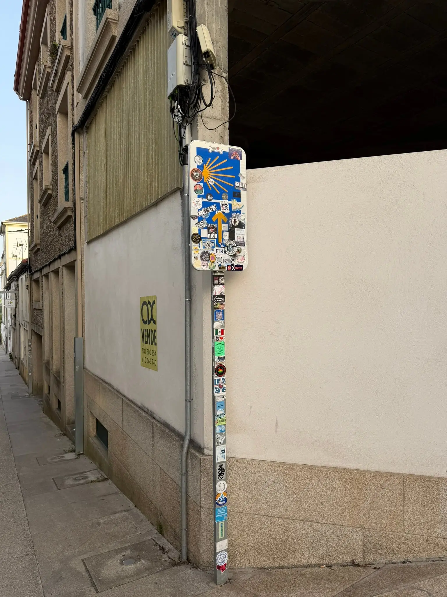 IMG_9314.JPEG