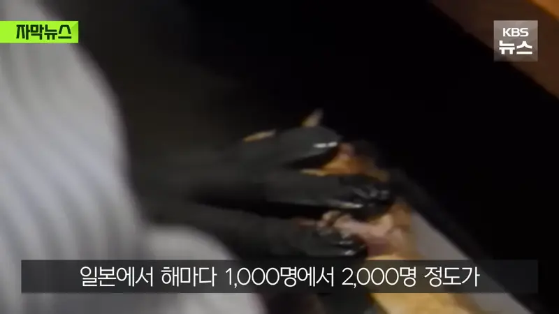 Internet_20260725_223909_9.png