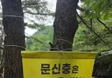 마음에 드는 계곡 경고문