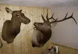 “씨발년아 내가 그냥 집에 있자 했냐 안했냐!