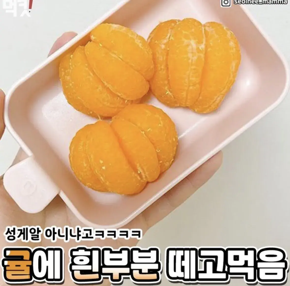 편식 심한 사람들 특징.jpg