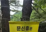 강원도 계곡에 걸려있는 현수막