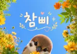 엄마한테 만약 내가 바퀴벌레로 변하면 어떻게할거야?라고 물어본 다음날